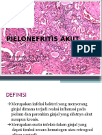 Pielonefritis Akut