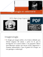 01 Imagenologia Veterinaria Radiologia 01