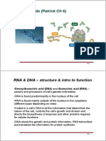 Nucleic Acids (Patrick CH 6) : RNA & DNA - Structure & Intro To Function