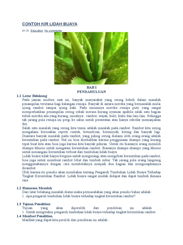 Contoh Kir Lidah Buaya