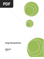 Download Image Manipulation Propaganda by Stuart Gill SN34448726 doc pdf