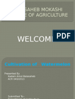 Dadasaheb Mokashi College of Agriculture: Welcome