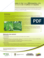 Afiche-caucho-ICA-final.pdf