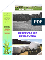 FICHA+1.pdf