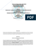 Organización y Desarrolllo de Programas de Asignaturas Basados en Competencia Derecho Penal III