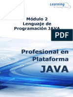 Módulo Java Programación Lenguaje
