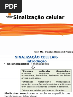 Aula11 Sinalização Celular