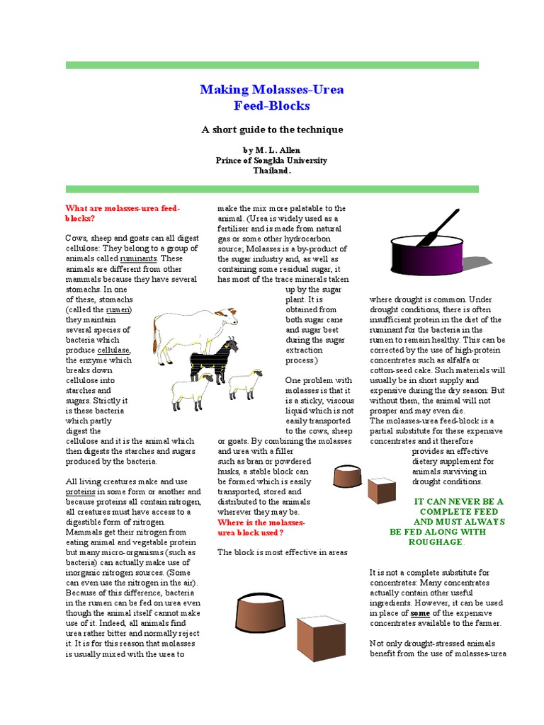 Making MolassesUrea FeedBlocks 2009 PDF Cellulose Sugar