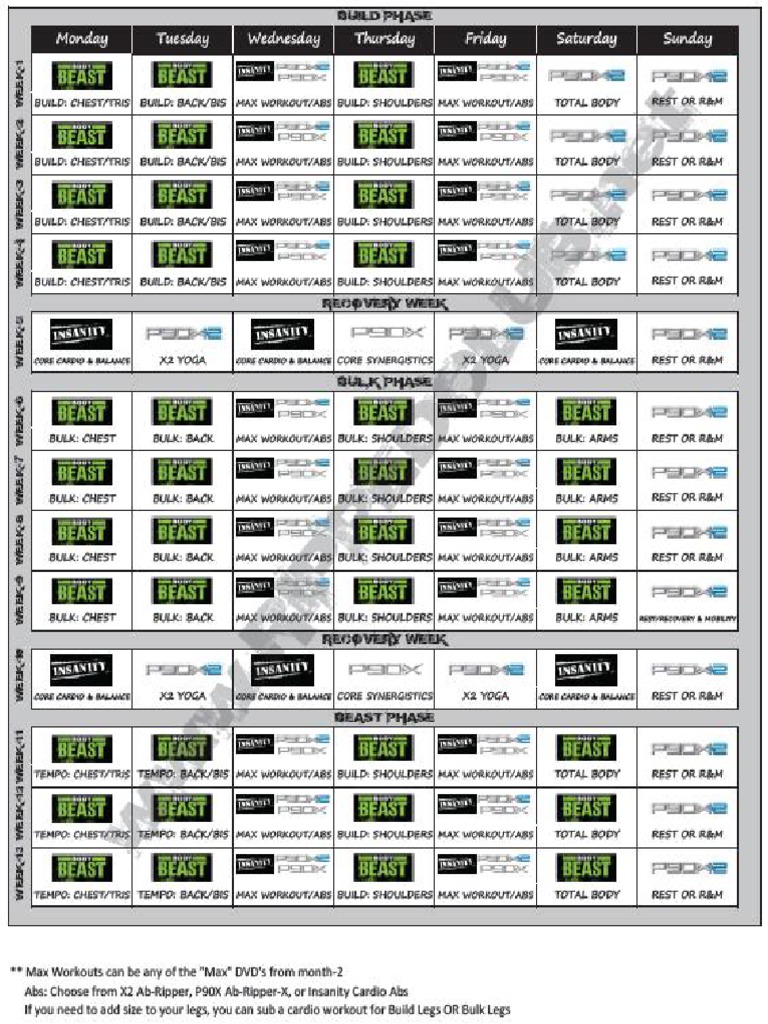 Body Beast, P90x, P90X2 and Insanity Hybrid PDF PDF