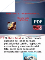 Muerte Fetal y Duelo Perinatal