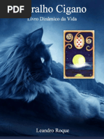 Baralho Cigano Livro Dinâmico Da Vida Nodrm