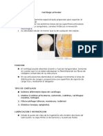 Cartílago articular: características, funciones y propiedades