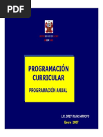 Programacion Curricular 1