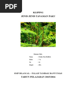 Download Jenis Jenis Tanaman Paku Dan Gambarnya by Roni Kurniawan SN344543916 doc pdf