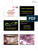 Pigmenta PDF
