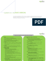 Esquema-definitivo-Tema-1-Auxilio-Judicial.pdf