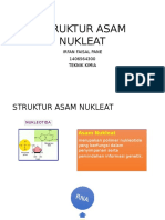 Struktur Asam Nukleat