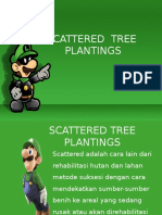 Scattered Tree Plantings