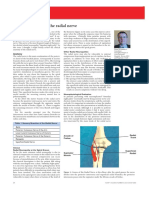 v3i3anatomy.pdf