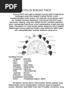 Evolusi Burung Finch