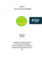 Batu Saluran Kemih (Referat)