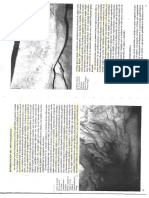 Prehistoria 5.pdf