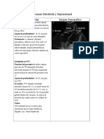 Resumen Subsifoide y Supraesternal