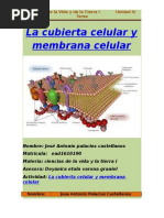 Ciencias de la Vida y la Tierra I La cubierta Celular y  Membrana Celular.docx