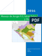 Manual Arcgis