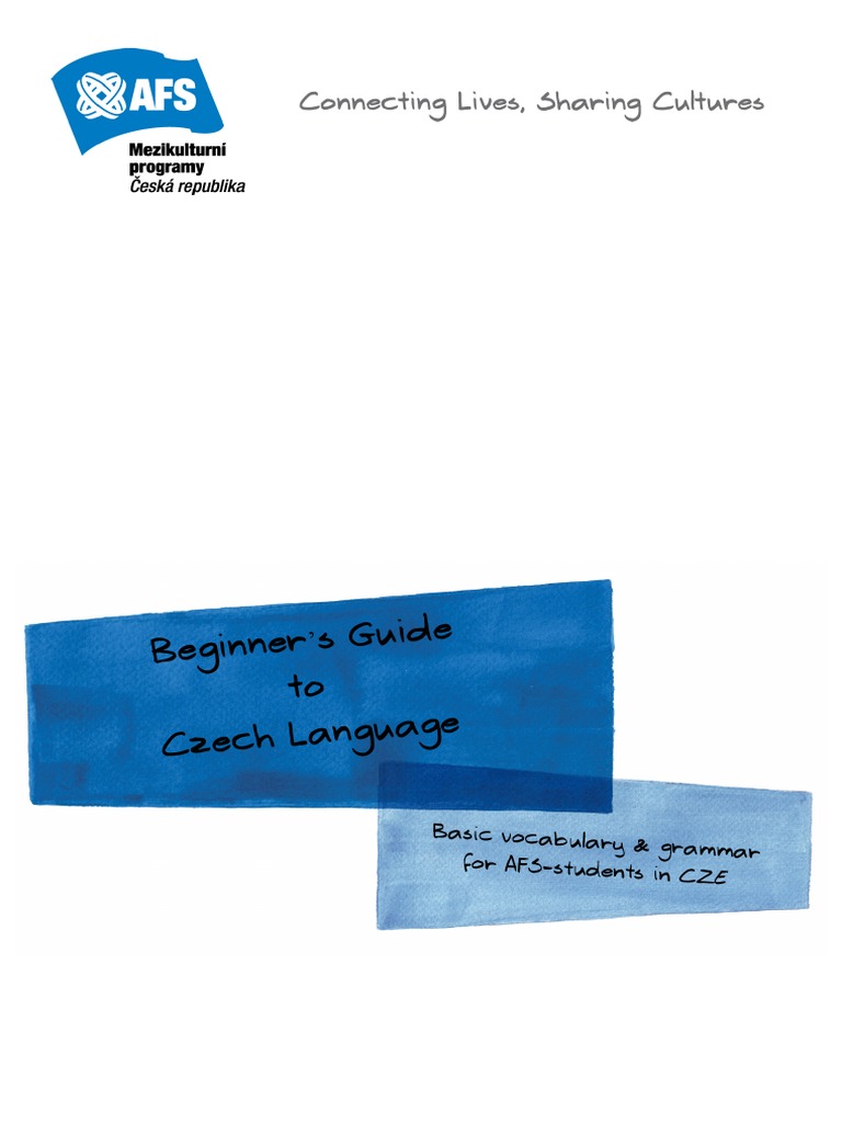 Czech Language Beginner's Guide | PDF | Grammatical Gender | Vowel