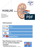 RiñónYVíasUrinarias