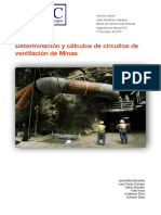 Determinacion_y_calculos_de_circuitos_de.pdf