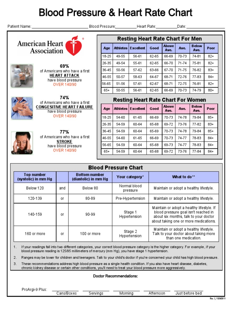 BP and PR Chart | PDF