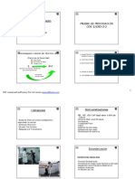 Pruebas de Provocación - PPT (Sólo Lectura)