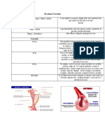 resumen vascular clase