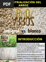 ARROZ (2)