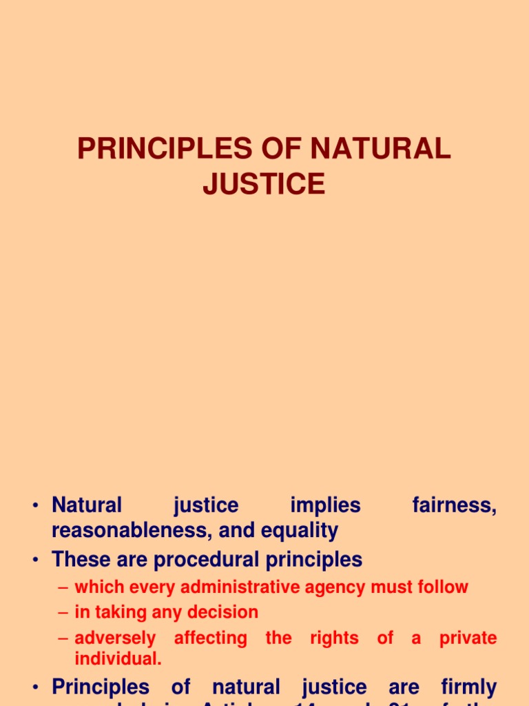Principles of Natural Justice PDF Government Justice