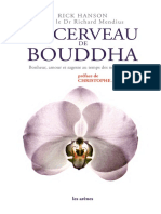 Le Cerveau de Bouddha PDF