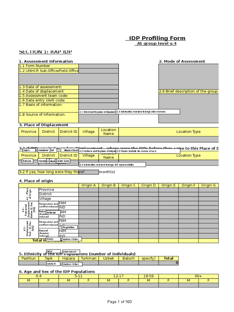 IDP Profiling Assessment Form v4 | PDF | Internally Displaced Person ...