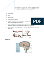 Meningitis