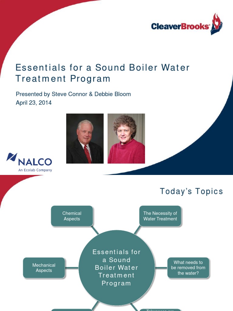 Essentials For A Sound Boiler Water Treatment Program PDF Ion
