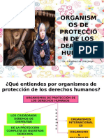 Organismos de Proteccion de Los DD HH INTERNACIONALES