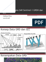 Pengolahan Data SAR Sentinel-1 GRDH Dan SLC: Hifdzul Fikri 22116028