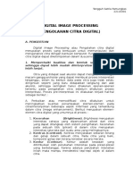 RESUME DIGITAL IMAGE PROCESSING.docx