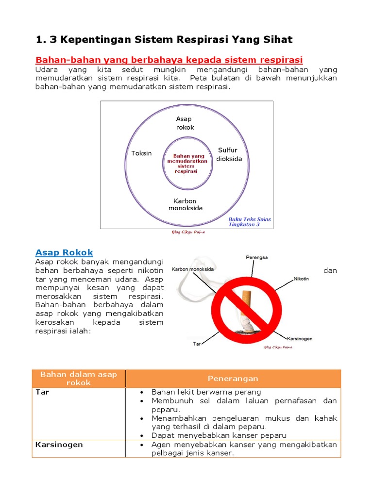 1 3 Kepentingan Sistem Respirasi Yang Sihat Pdf