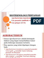 5. Agrobacterium, Gen Penanda & Pelapor (PP)