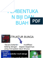 Pembentukan Biji Dan Buah