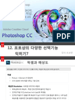 PSCC 12 PDF