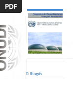 Biogás - Onu