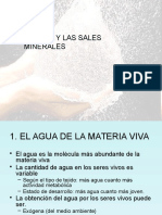 Agua y Sales Minerales